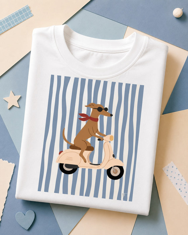 COLECCIÓN STYLE